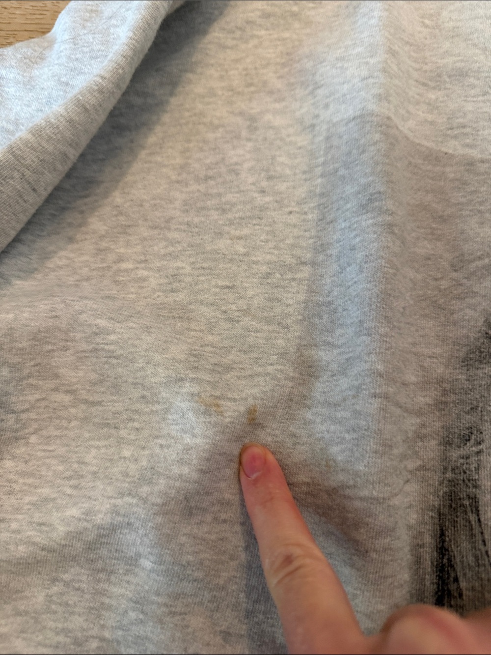 Anine Bing Gray Graphic Crewneck Sweatshirt - Picture 2 of 6
